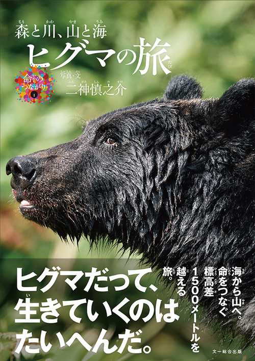 《日本の陸上動物のなかで最大》広大な北海道の大地をたくましく生きる「ヒグマの暮らし」を追った、子どもから大人まで楽しめる写真絵本『ヒグマの旅』発売！のメイン画像