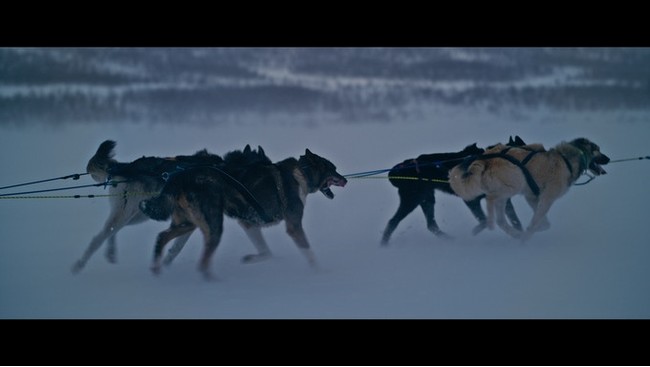 世界で最も過酷なアラスカ・犬ぞりレースのドキュメンタリー映画「THE WILL TO  RUN Documentary」がKicksarterに登場！のサブ画像3