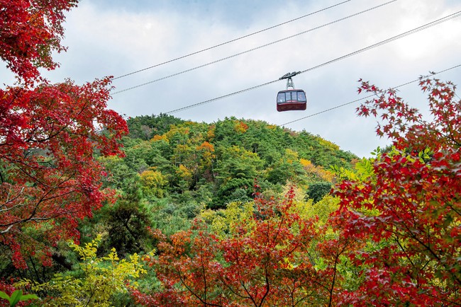 高さ約300mの明石海峡大橋から見る幻想的な夜景や有馬温泉を堪能！神戸の秋を楽しむ、特別感のある体験型プログラム「こうべ旅／Travel KOBE」 秋プログラム登場のサブ画像8