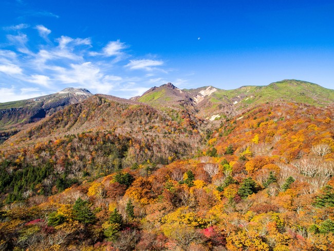 見頃を迎える深紅に染まった秋の那須高原「紅葉那須ゴンドラ」のサブ画像2