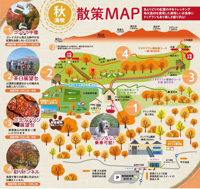 見頃を迎える深紅に染まった秋の那須高原「紅葉那須ゴンドラ」のサブ画像6