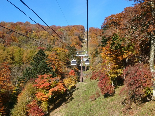 見頃を迎える深紅に染まった秋の那須高原「紅葉那須ゴンドラ」のサブ画像7