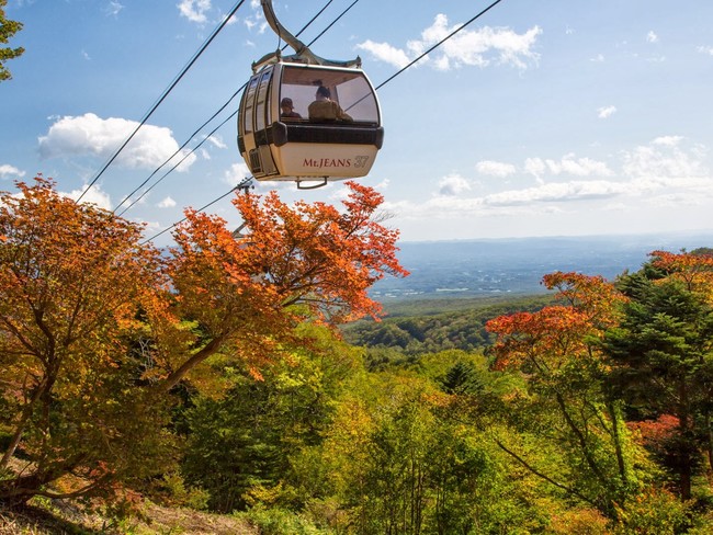 見頃を迎える深紅に染まった秋の那須高原「紅葉那須ゴンドラ」のサブ画像8