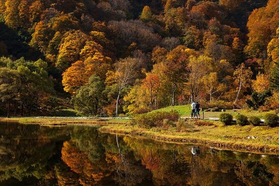 インスタ映えするスポットも登場！紅葉の秋、食欲の秋、アクティブな秋　秋色の湯沢高原パノラマパークのサブ画像2_アルプの里の紅葉