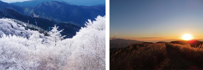山のスタンプラリーアプリ®「YAMASTA（ヤマスタ）」 関西圏で人気の山をハイキングする「金剛山・岩湧山スタンプラリー」を継続実施！のサブ画像2