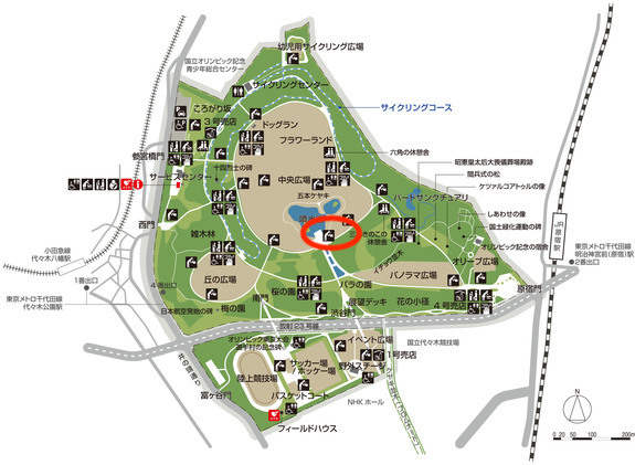 【⽇本初のオフラインイベント】11/7（日）東京都⽴代々⽊公園「青空フィットネス」イベントにてマイクロフォーマーを活⽤した屋外レッスンを実施しますのサブ画像6