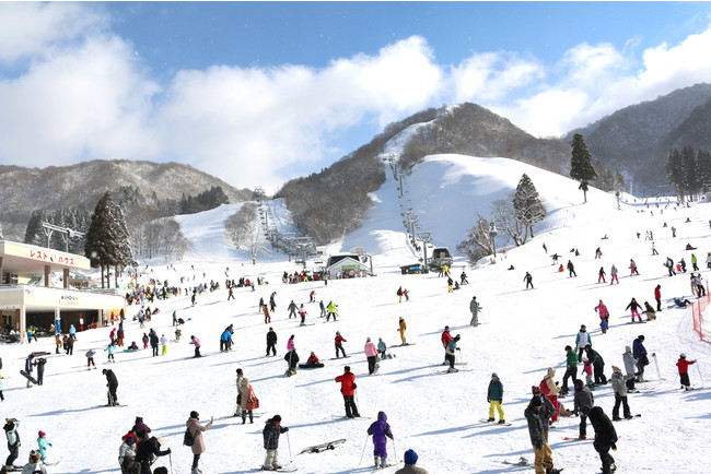 グランスノー奥伊吹「初冠雪」！標高１０００m以上のスキー場のゲレンデが「雪化粧」！スキー場は１２月１８日（土）オープン予定！のサブ画像7