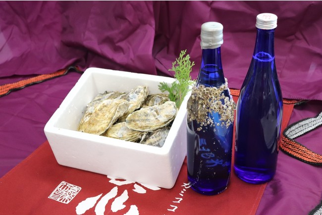 昨年は発売から4日で完売！！牡蠣筏で海中熟成させた日本酒と同じ海で一緒に育った牡蠣とのマリアージュ（食べ合わせ）を楽しめる「牡蠣と共に育つ酒」を限定３００セットにて今年も販売のサブ画像3