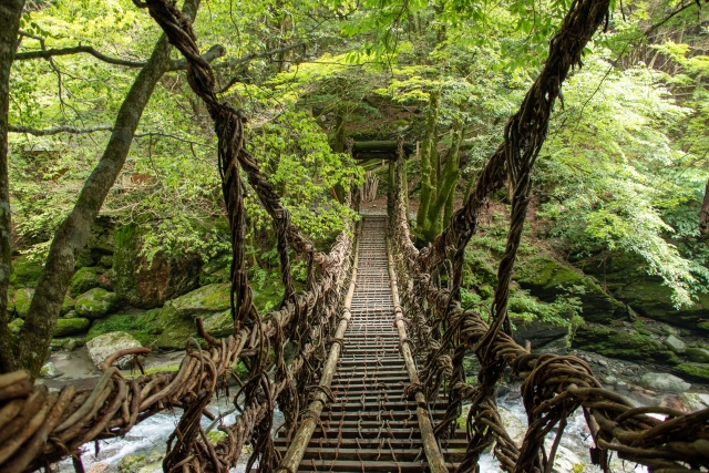 青い海の間を緑の島へとのびる1本の橋。渡ってみたい 日本の橋ランキング1位は「角島大橋」のサブ画像9