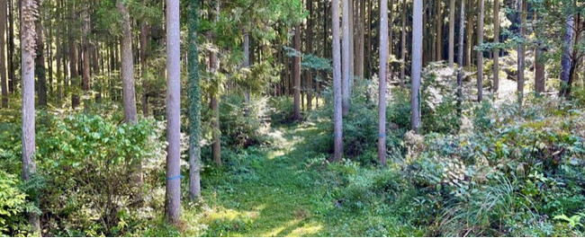 キャンパー向け森林レンタルサービス「forenta」フランチャイズ第1号契約を締結のサブ画像3
