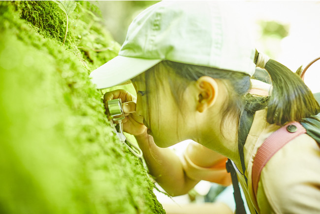 東京・檜原村で新たな自然体験プログラム「裏山アート探検隊 みっけるん」が来春スタート予定、モニター参加者を募集のサブ画像7_ミクロな世界をのぞいてみよう！
