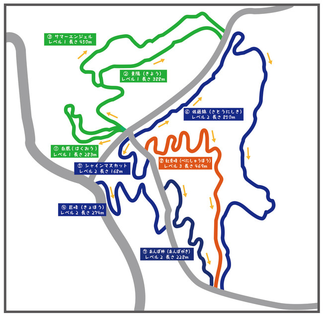 国内最大級の⼀般無料開放マウンテンバイクパーク「南アルプス立沼マウンテンバイクパーク」が2021年11月22日（月）オープン！のサブ画像3_立沼MTBパークのトレイル図