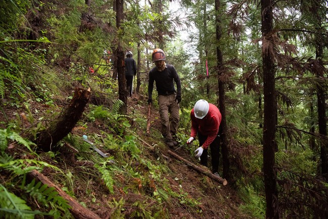 山をサブスクに！本格的アウトドア森林フィールド「MOKKI NO MORI」で会員募集スタートのサブ画像3_会員向けに林業体験も予定。