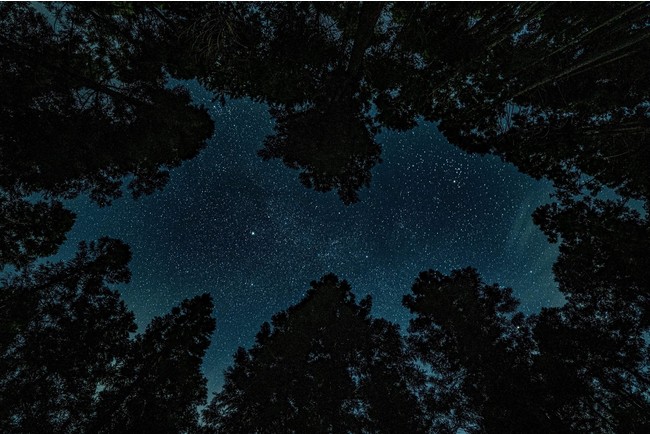 山をサブスクに！本格的アウトドア森林フィールド「MOKKI NO MORI」で会員募集スタートのサブ画像7_東京とは思えない星空、流星群も見ることができます