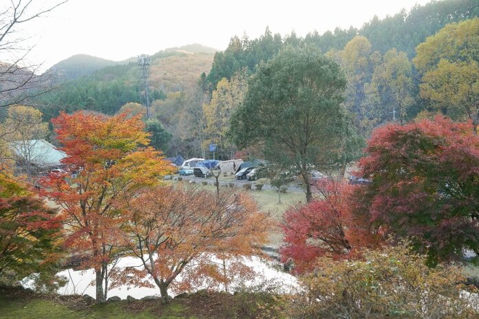 キャンプ場検索・予約サイト「なっぷ」調べ　2021年9月~11月　秋のキャンプ動向のメイン画像