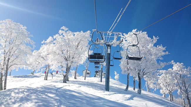 「新雪５０㎝」！関西最大級のスキー場「グランスノー奥伊吹」１２月１８日より滋賀県最速「オープン」！「運行リフトやオープンコース」も順次追加予定！のサブ画像9