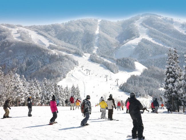 スキージャム勝山　安定した降雪を願ってのサブ画像6