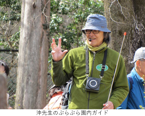 【六甲高山植物園】2022年3月19日（土）春の訪れとともにシーズンOPEN！のサブ画像3