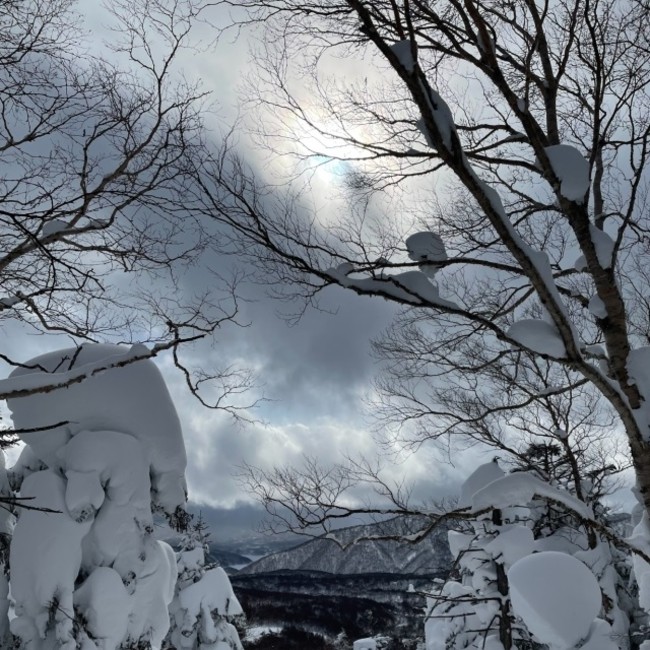 裏磐梯の上質なパウダースノーを歩いて体験する約200mの雪上連絡コース「森の小路」が新登場のサブ画像2