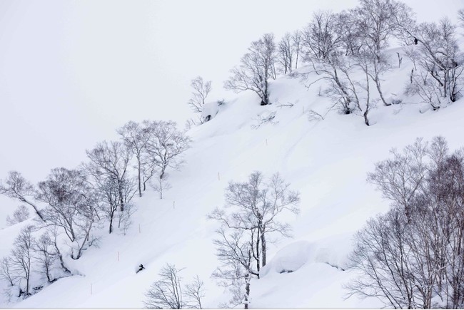 日本人4名が世界最高峰のフリーライド大会へ出場決定！のサブ画像7_Photo ripzinger