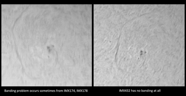 天体撮影用モノクロCMOSカメラ「Player One Apollo-M MAX」発売のお知らせのサブ画像4_左：IMX174・MX178センサー　右：MX432センサー