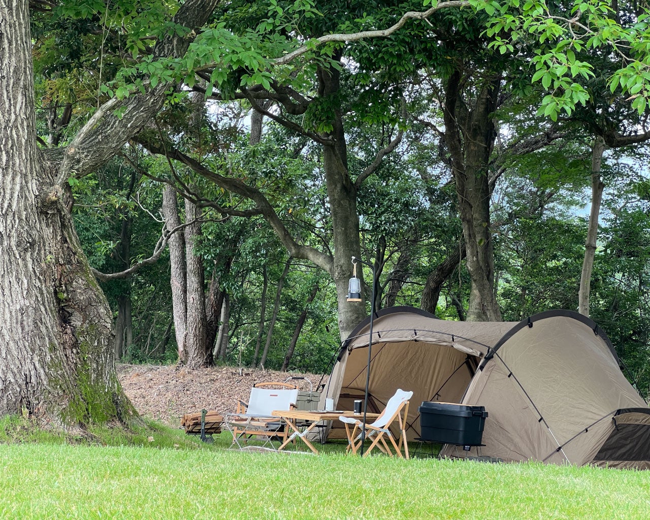 キャンプリゾート「FREE AND EASY CAMP RESORT」が8月10日(水)にオープン！のサブ画像3