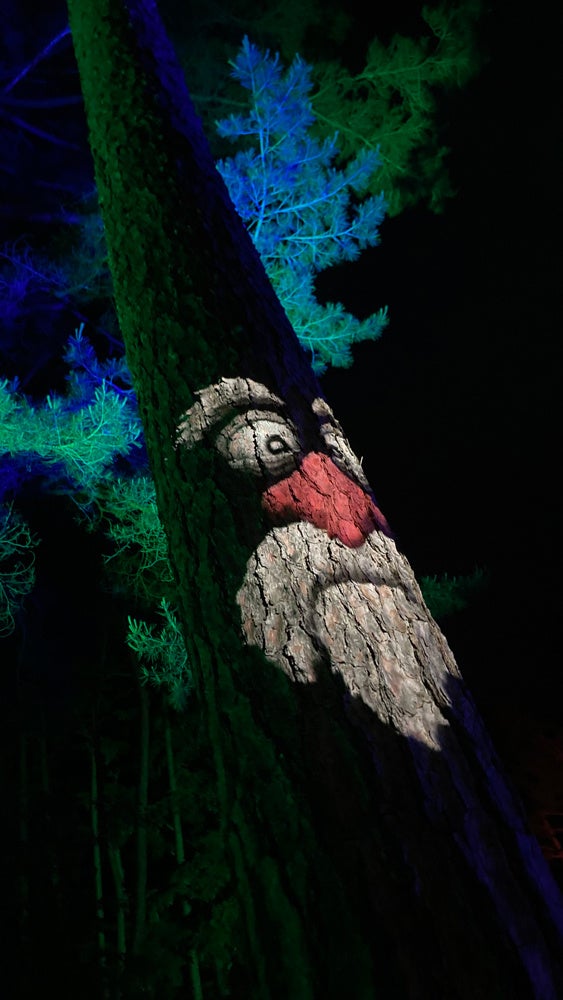 “夜の富士すばるランドは、怖いけど、面白い”感情を揺さぶる体験型アドベンチャー！『ナイトウォーク～クライの森と6つの星〜』7/30〜10/30の期間限定で開催！のサブ画像3