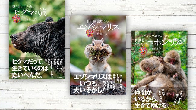日本初！ホンドギツネの生態を写真で紹介する絵本【となりのホンドギツネ】発売！のサブ画像6