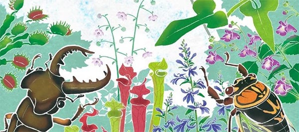 【六甲高山植物園 緊急企画】 猛暑日は植物園で過ごそう！ ひんやり六甲キャンペーンのサブ画像3