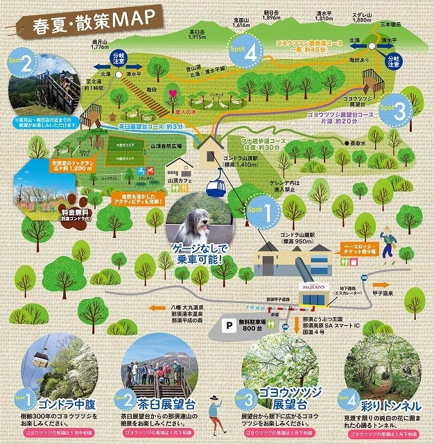 真夏の平均気温22℃の那須高原で味わう天然クーラー「清涼那須ゴンドラ」で絶景の旅のサブ画像3