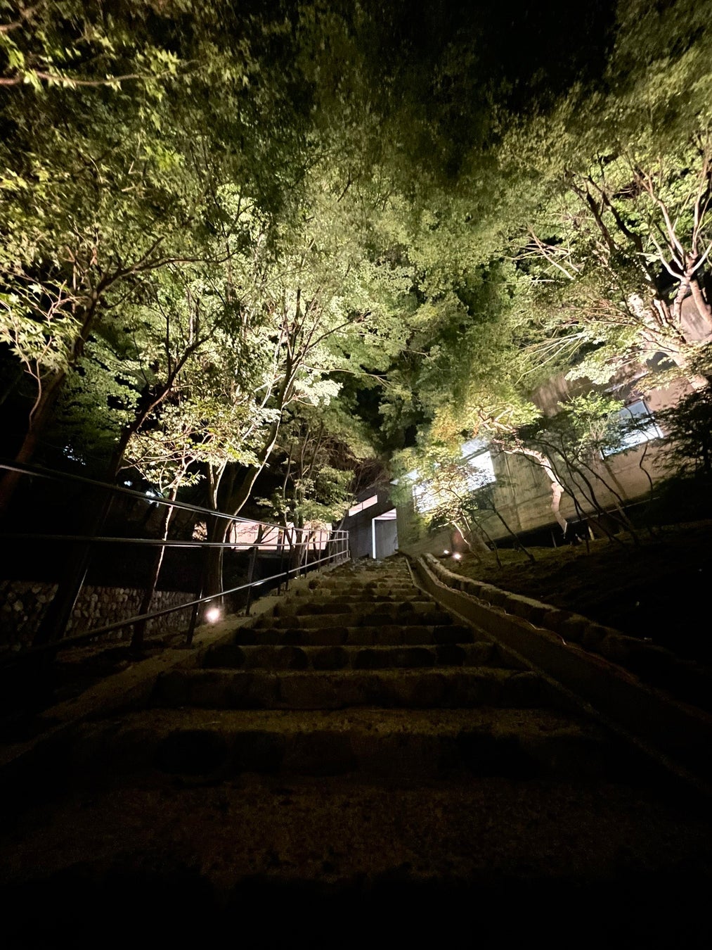 ７月３０日に「オルタナの森・Minoh」がオープンしました！のサブ画像14_夜はライトアップされて幻想的