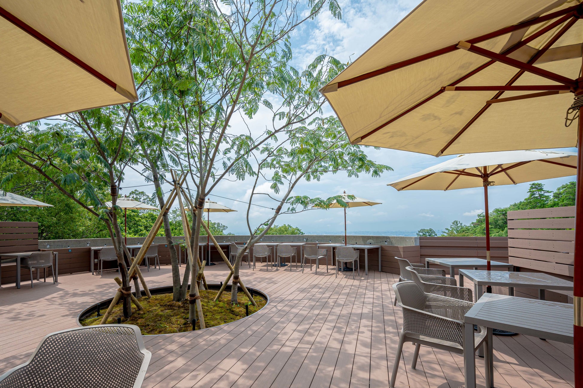 ７月３０日に「オルタナの森・Minoh」がオープンしました！のサブ画像5_ルーフトップの緑豊かなカフェ