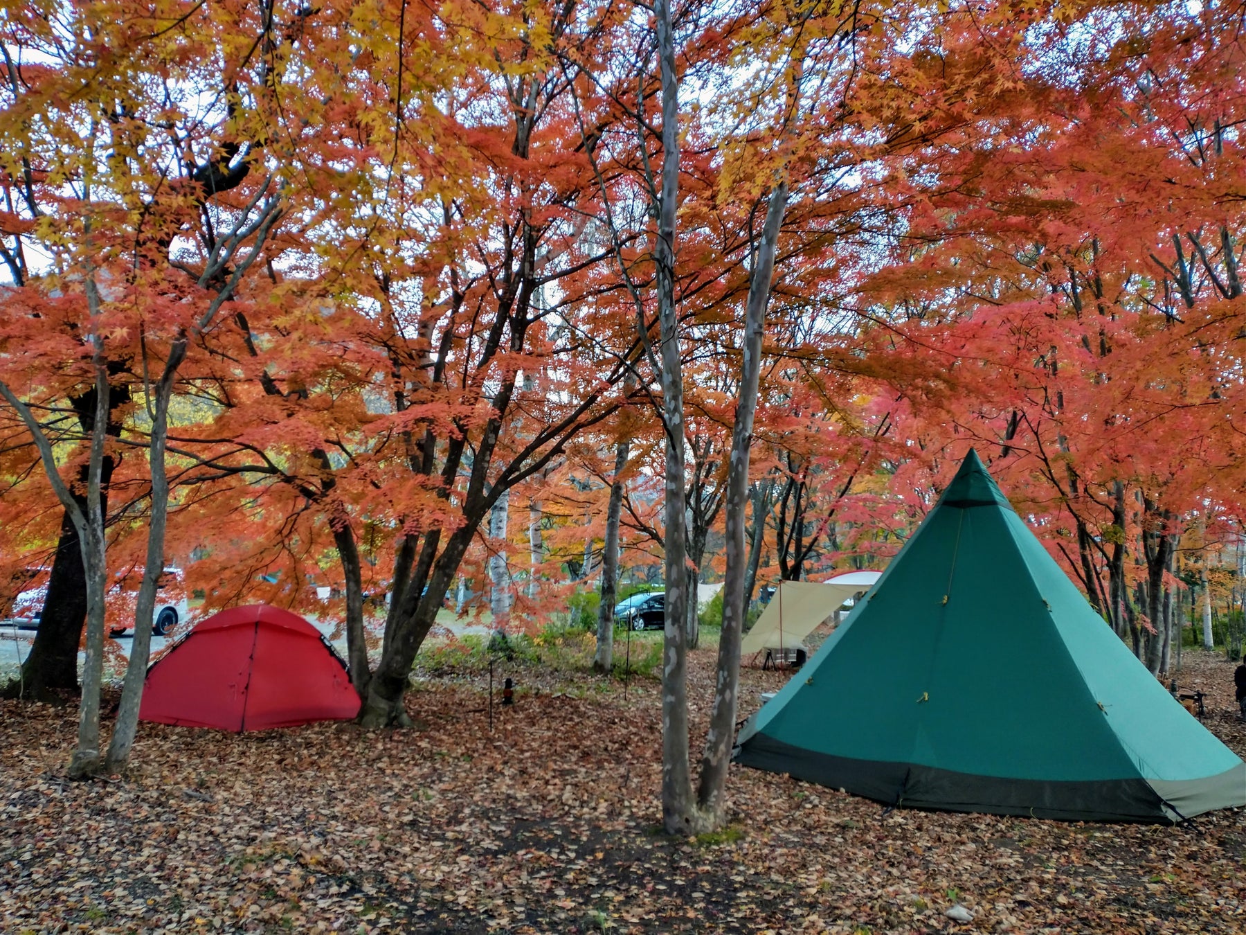 秋キャンプ！最高のシーズンがやってくる！のサブ画像2_ちばむらオートキャンパーズリゾートの秋