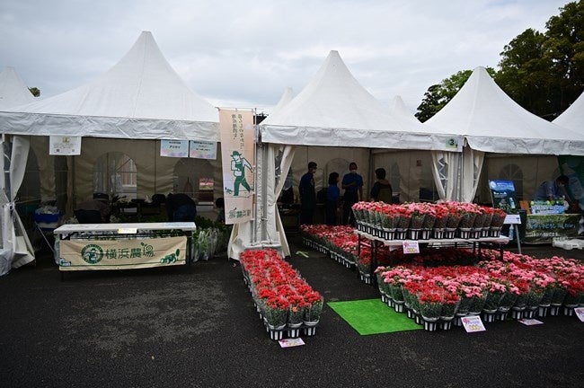 横浜で9.3万人が来場した大規模な花のイベント、ガーデンネックレス横浜2022「秋の里山ガーデンフェスタ」開催！のサブ画像5