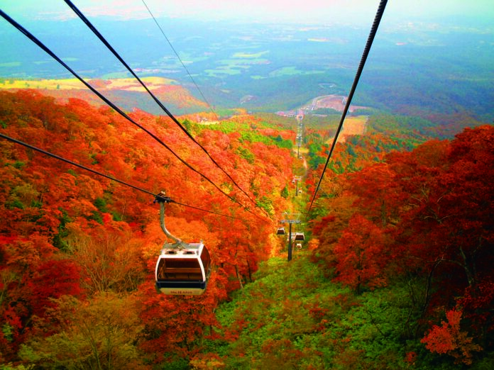 深紅に染まる秋の那須高原のメイン画像