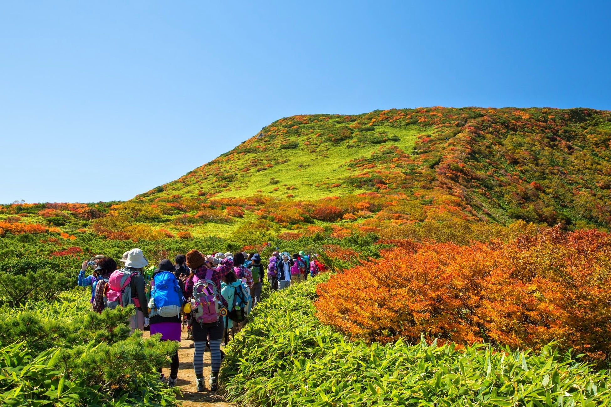 深紅に染まる秋の那須高原のサブ画像2