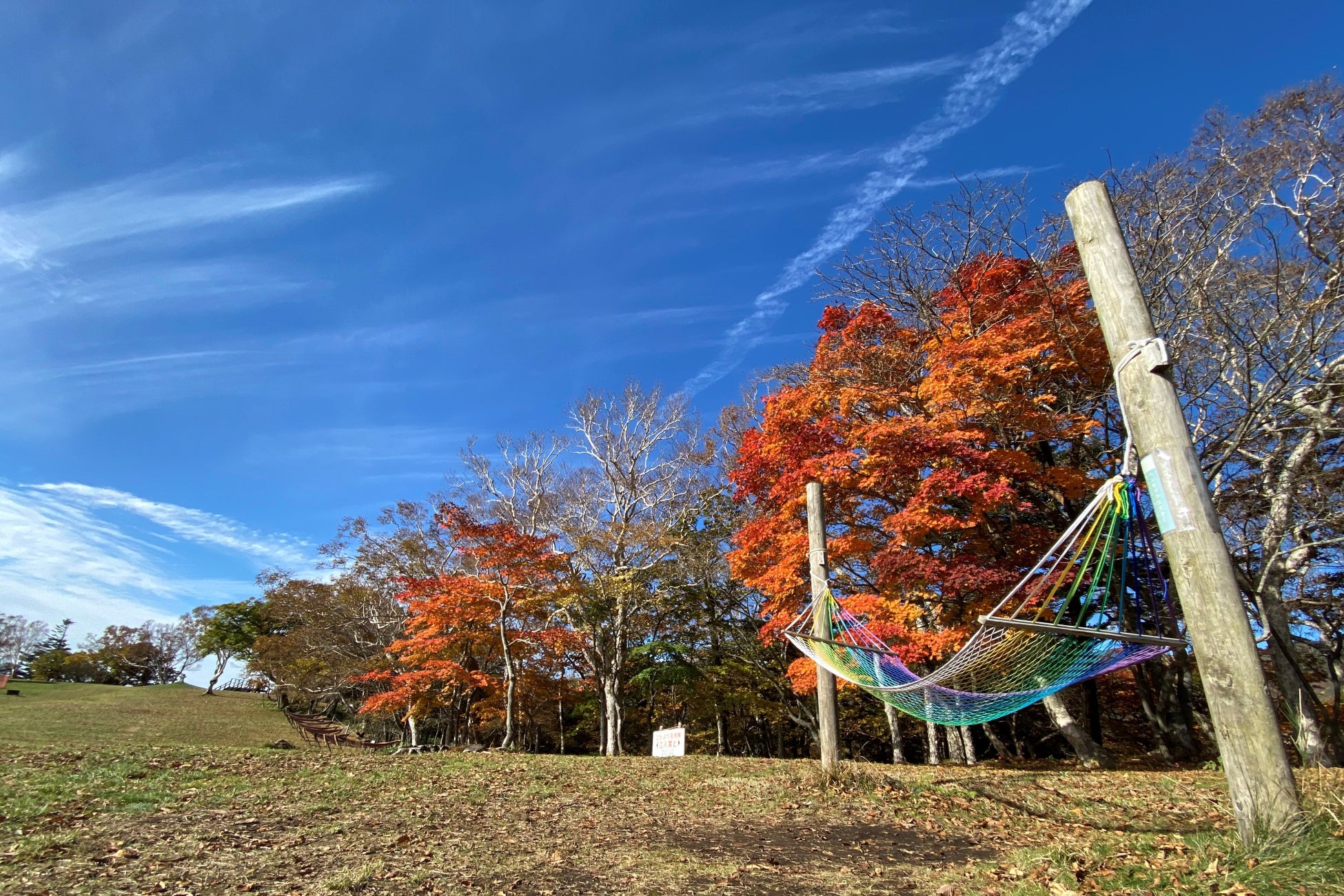 深紅に染まる秋の那須高原のサブ画像6