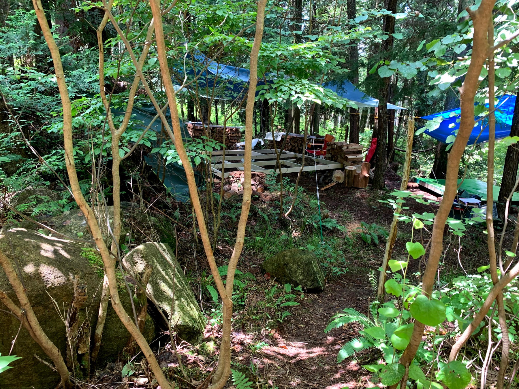プライベートな森林空間をあなたの手に。森林レンタルforentaがついに九州初上陸！のサブ画像3