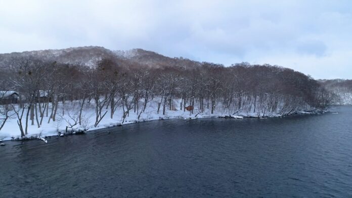 【十和田サウナ】雪中のネイチャー体験「冬サウナ」受付開始のメイン画像