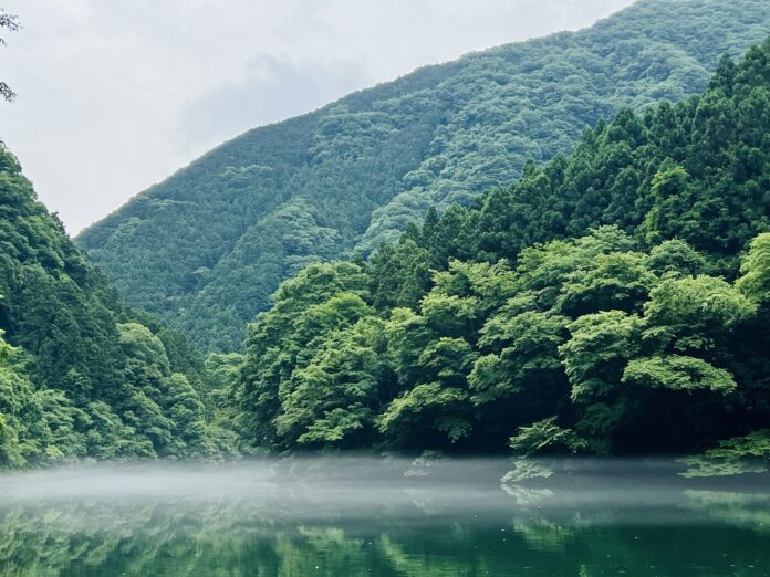 南関東唯一の湖が水風呂であるサウナ施設[白丸village]が奥多摩町にオープン！！のメイン画像