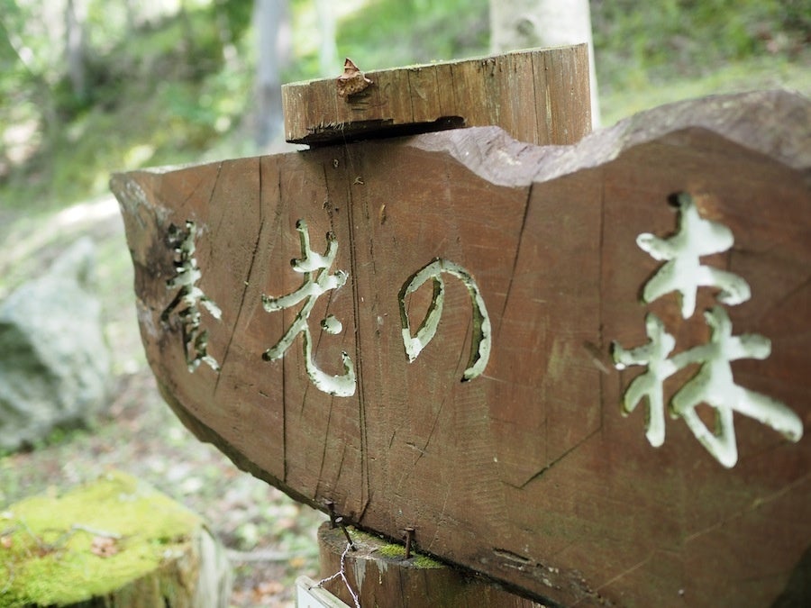 日本の森を考える。あなたの思いが間伐材スウェーデントーチ1本に。/ 山梨県道志村「養老の森」のサブ画像2