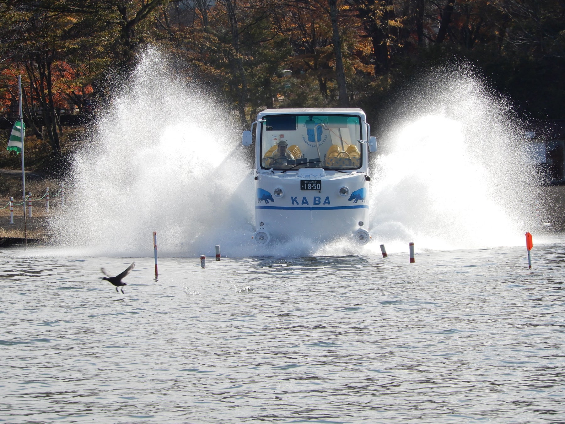 クリスマス特別便！山中湖水陸両用バス「2022 KABA BUSクリスマス号」12/24～12/25特別運航のサブ画像6