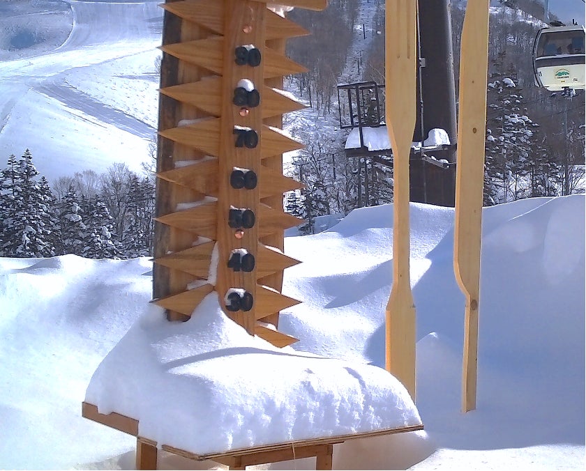 スキー場のコンディションをリアルタイムにホテルで「見える化」するシステムを OMO3 札幌すすきの by 星野リゾートに提供開始のサブ画像4