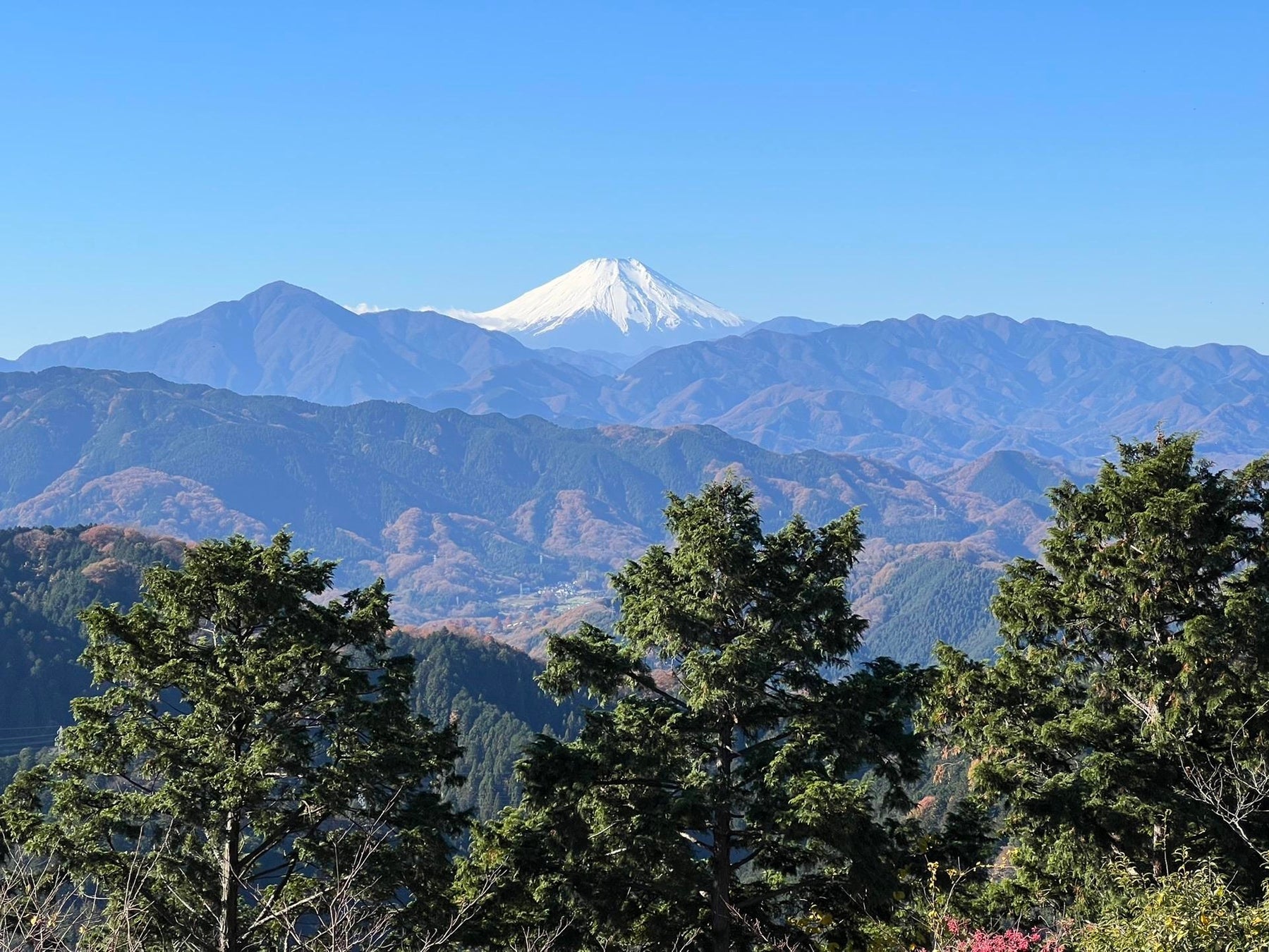 2022年に『登られた山』ランキングを公開のサブ画像4_高尾山・山頂から富士山を望む