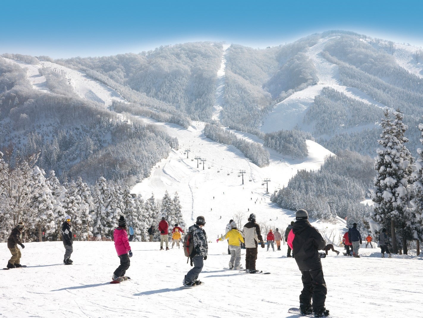 スキージャム勝山 福井県内最速オープン！のサブ画像6