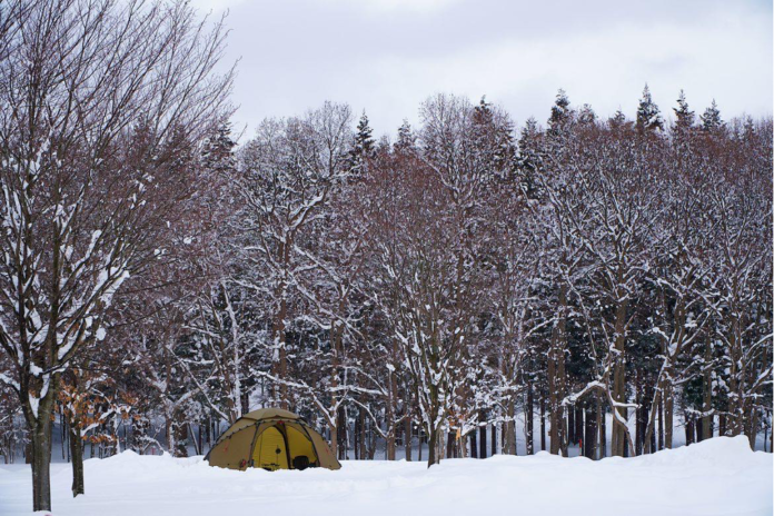 「十和田湖冬キャンプ」、利用受け入れ開始！のメイン画像