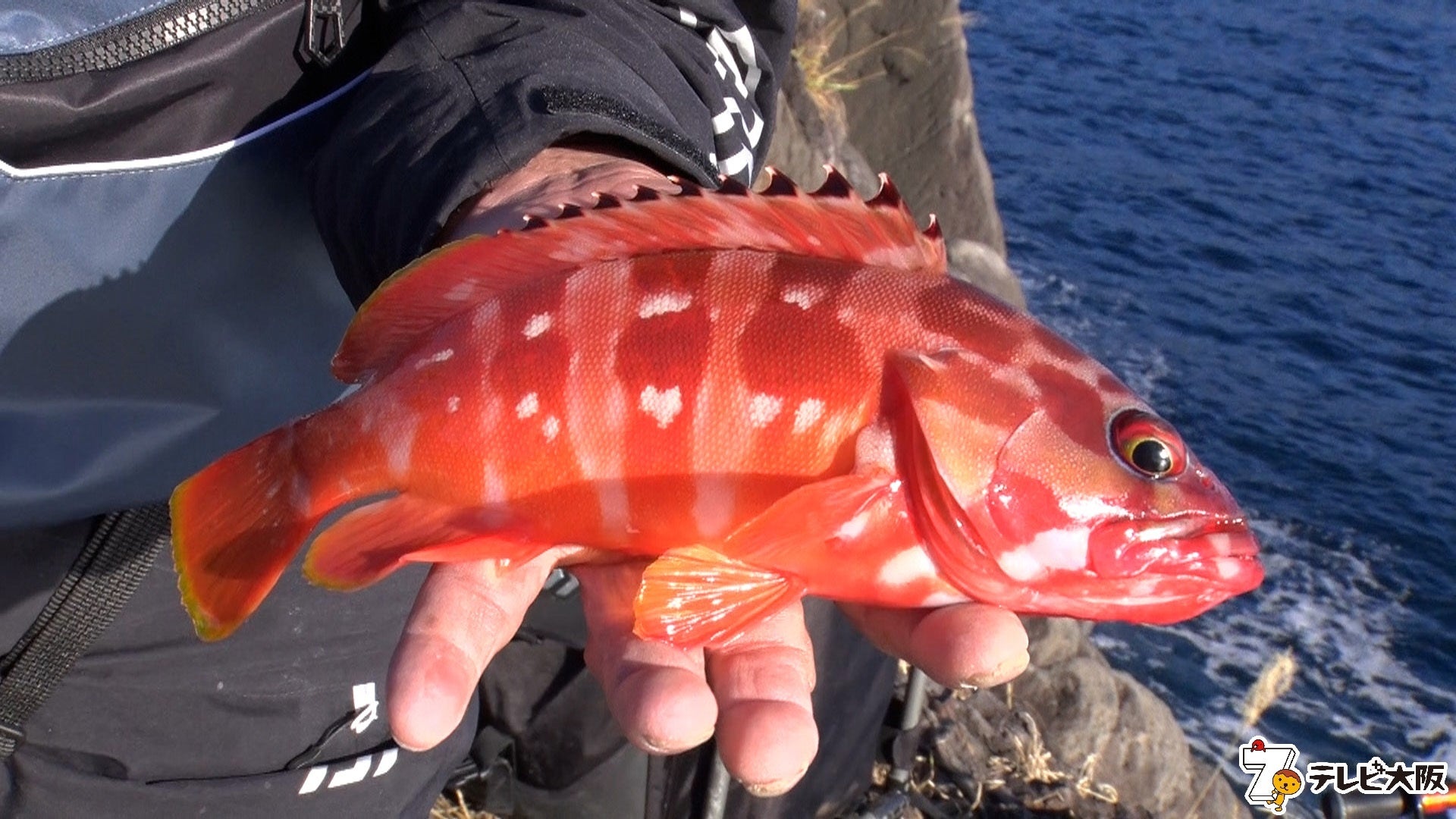 ターゲットは新年を祝う“赤い魚”！キャスティズムの魅力満載in伊豆半島！！のサブ画像4