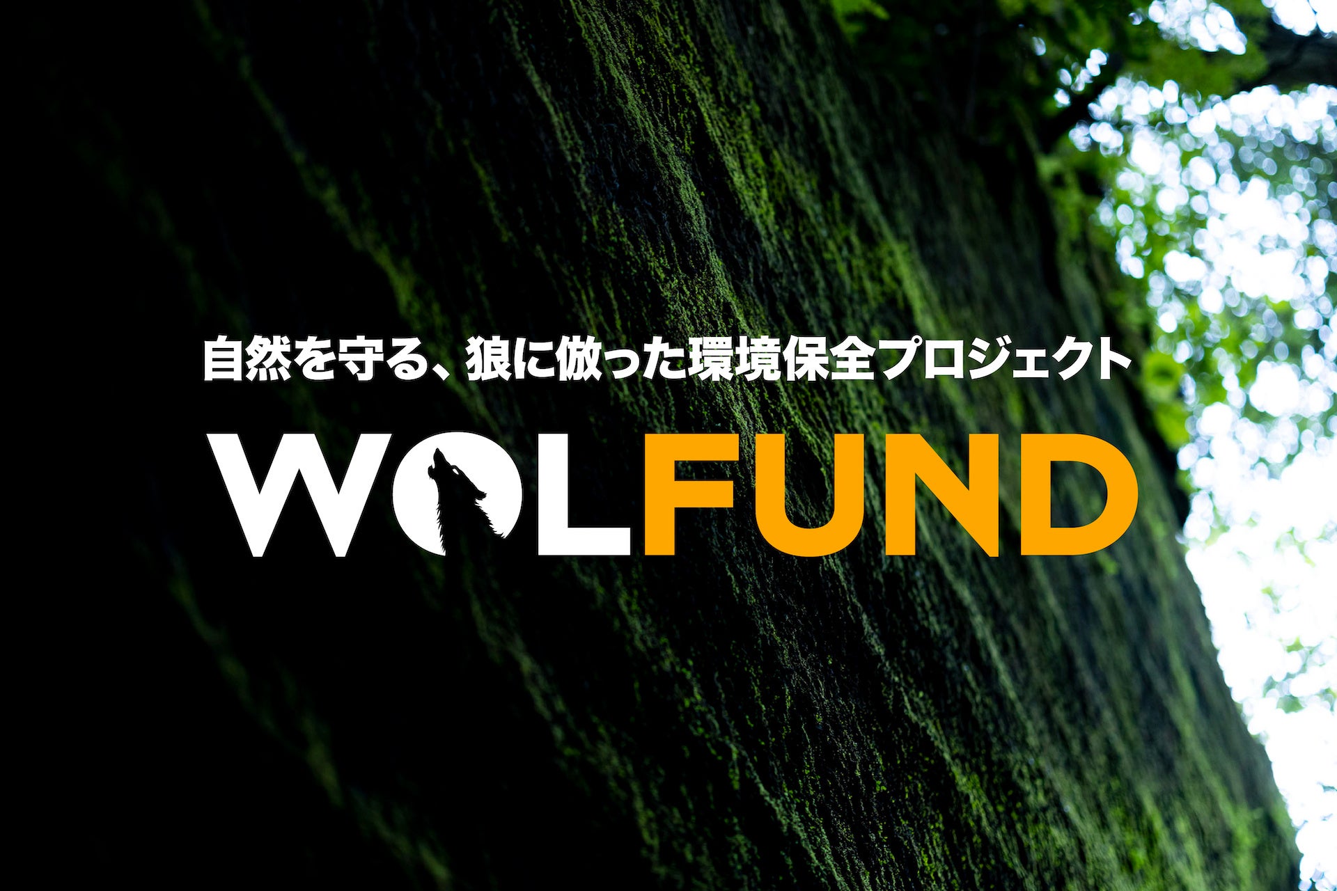 ジャック・ウルフスキン 自然を守る、狼に倣った環境保全プロジェクト「WOLFUND」を始動のサブ画像1