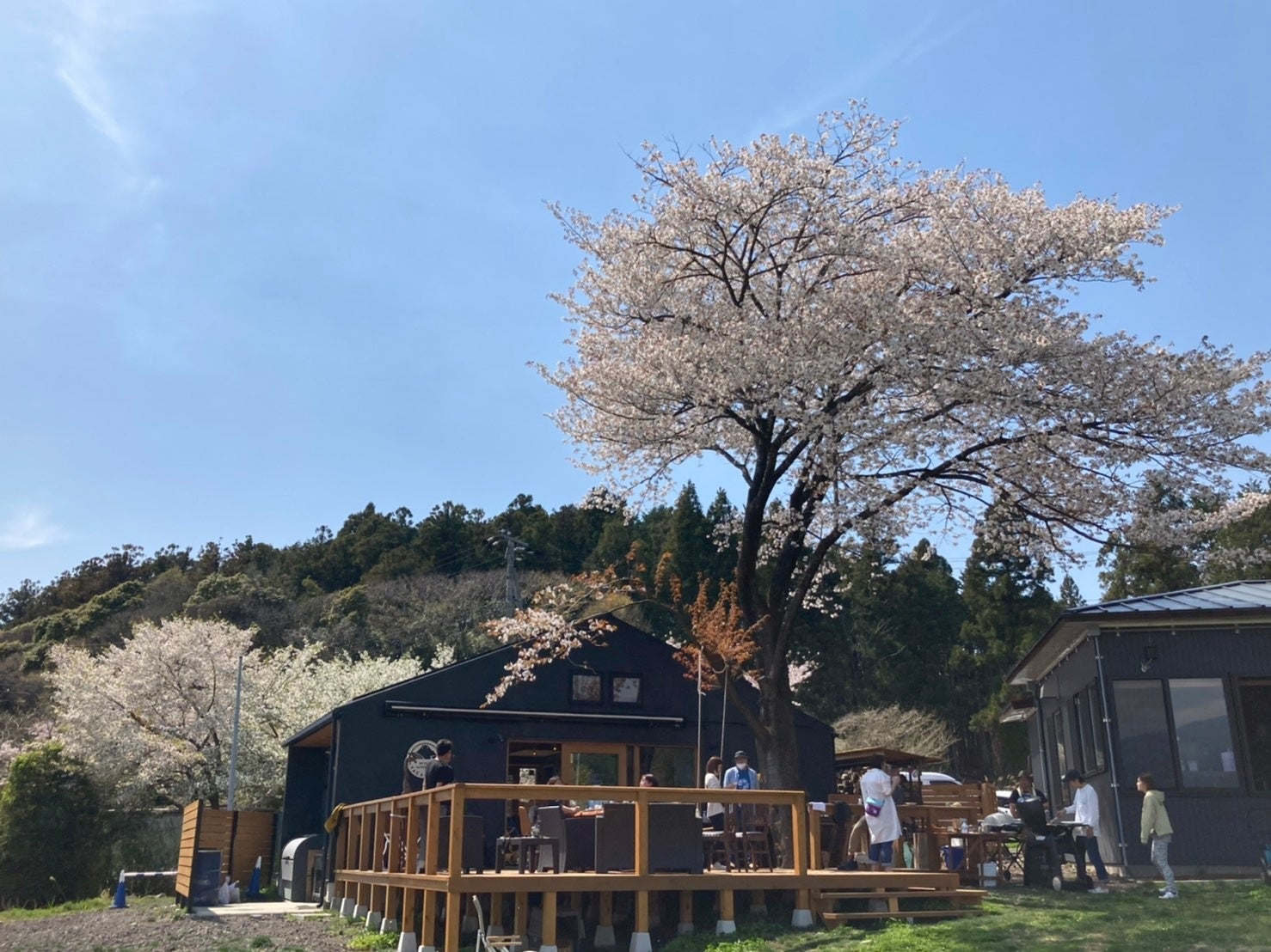 あなただけの非日常空間で、富士山と楽しむ春のサクラグランピング「MT. FUJI SATOYAMA VACATION」予約受付スタート（オリジナル地酒プレゼント×特別ミニエコツアー付き）のサブ画像8