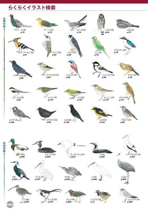 日本で見られる野鳥をほぼ網羅！【♪鳥くんの比べて識別！野鳥図鑑670 第4版】ついに発売！のサブ画像4